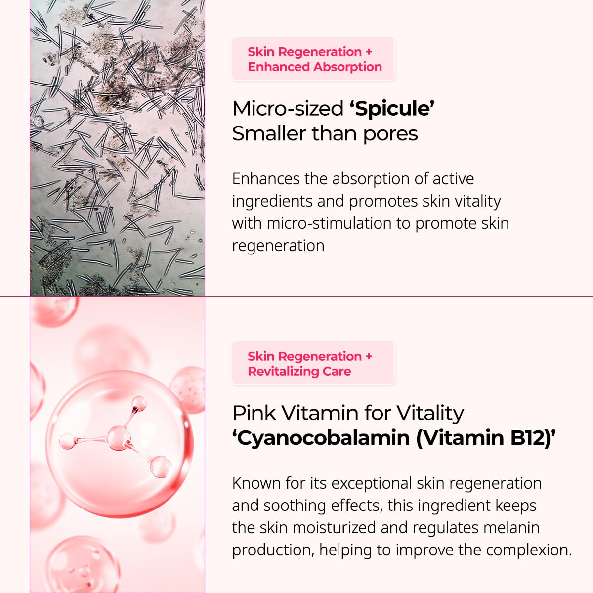 Collagen Boost Set